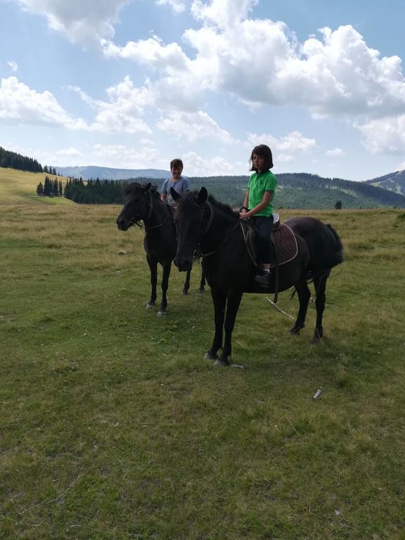 Pensiunea Catalina Moldova Sulita Bagian luar foto