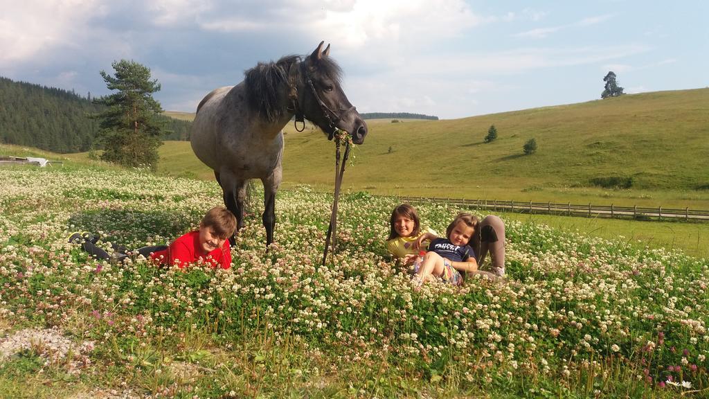 Pensiunea Catalina Moldova Sulita Bagian luar foto