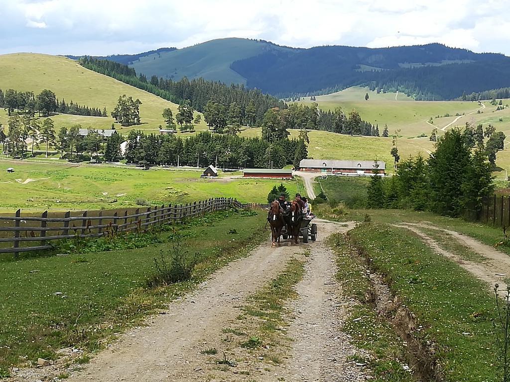 Pensiunea Catalina Moldova Sulita Bagian luar foto