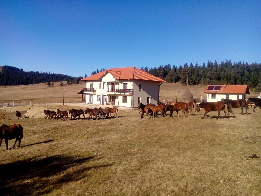 Pensiunea Catalina Moldova Sulita Bagian luar foto
